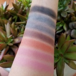 Amuse All About Eyes 9 Color Eyeshadow Palette Cosmetics