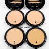 Amuse 2 In 1 Wet & Dry Face Powder (Colors 1-4)