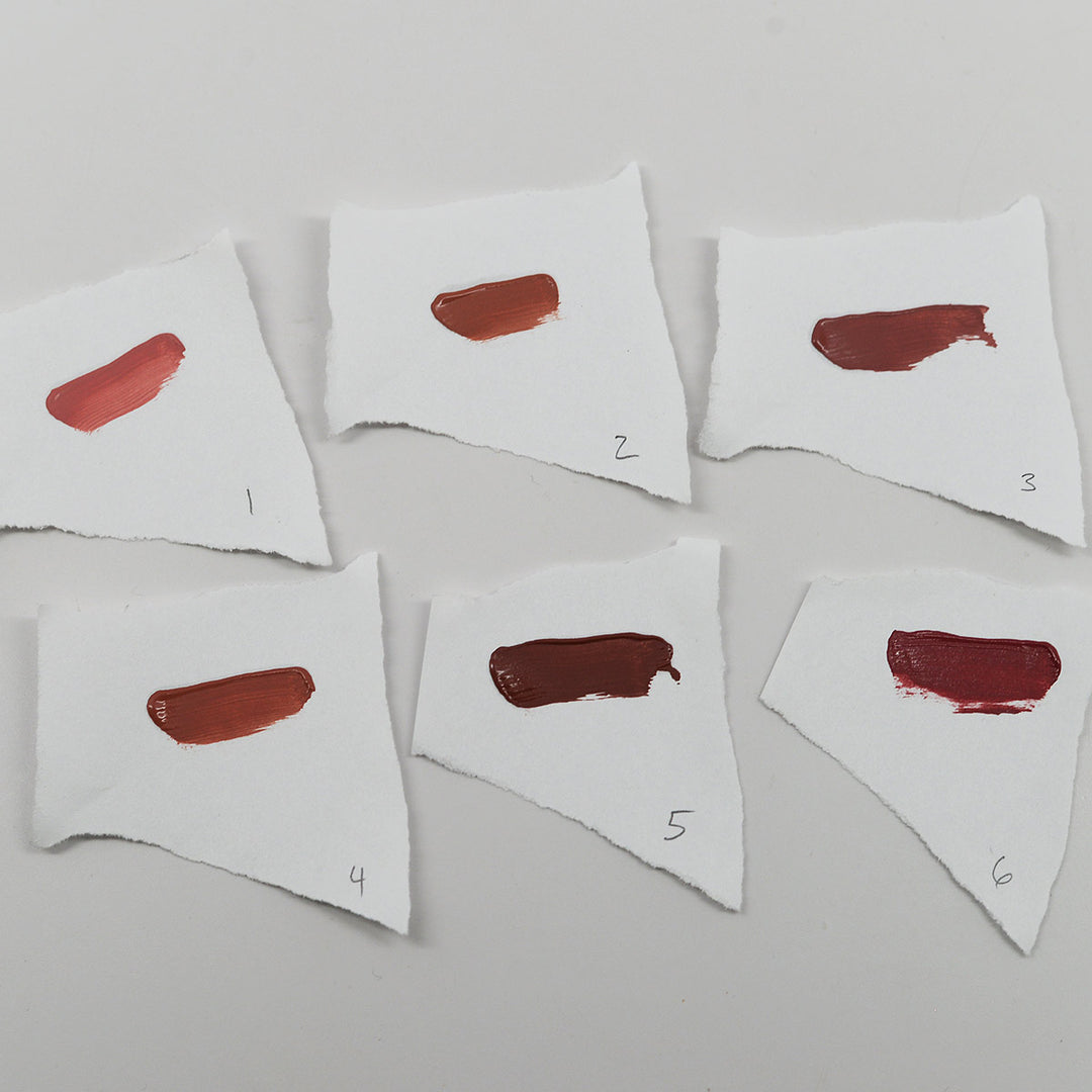 Amuse Professional Matte Lips Collection Set Of 12 (LIP2117)