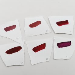 Amuse Professional Matte Lips Collection Set Of 12 (LIP2117)