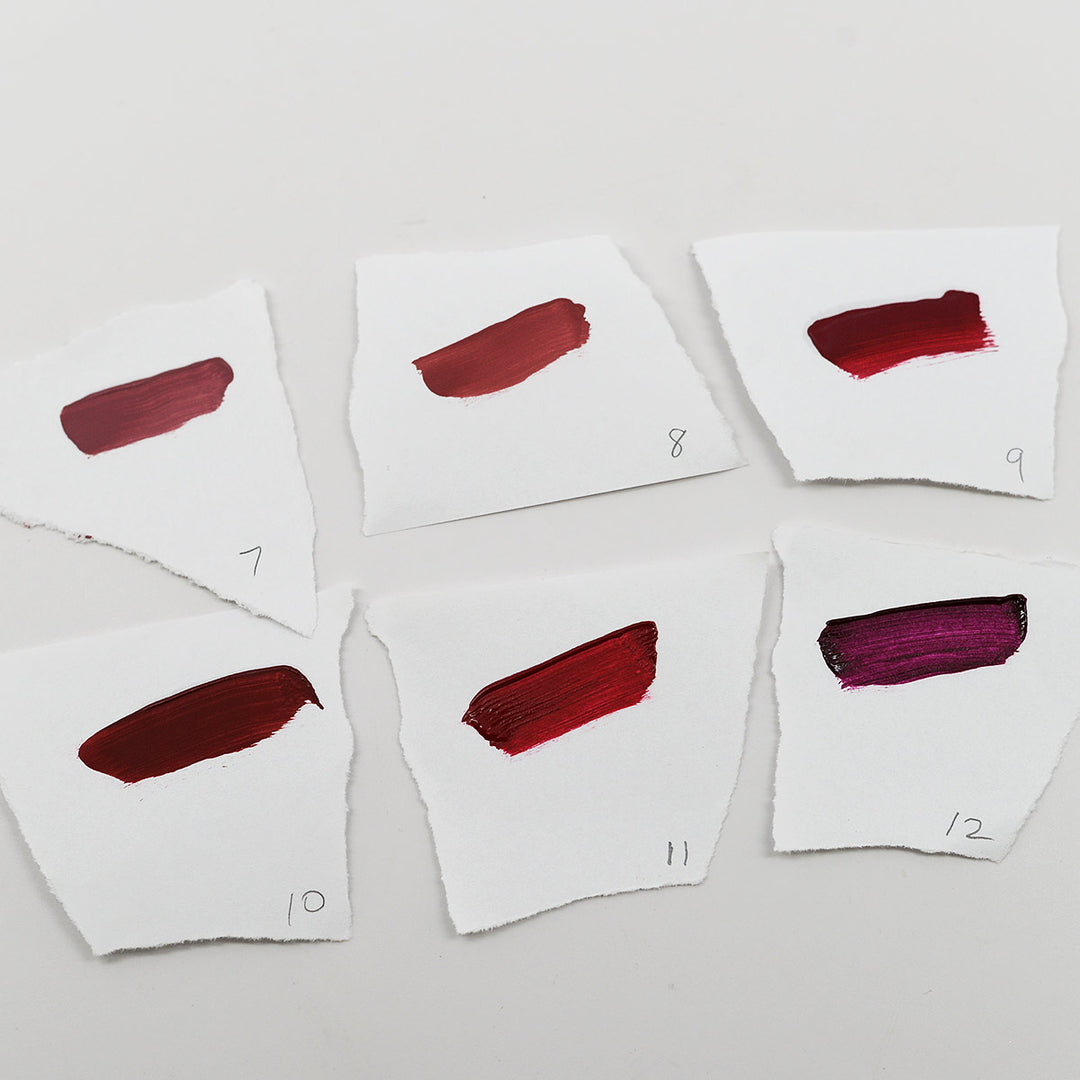 Amuse Professional Matte Lips Collection Set Of 12 (LIP2117)