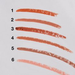 Amuse Long Lasting Matte Nude Lipstick (12 Colors) Everything For $1