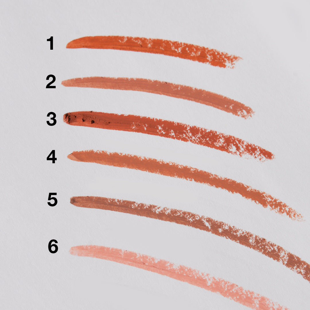 Amuse Long Lasting Matte Nude Lipstick (12 Colors) Everything For $1