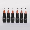 Amuse Long Lasting Matte Nude Lipstick (12 Colors) Everything For $1