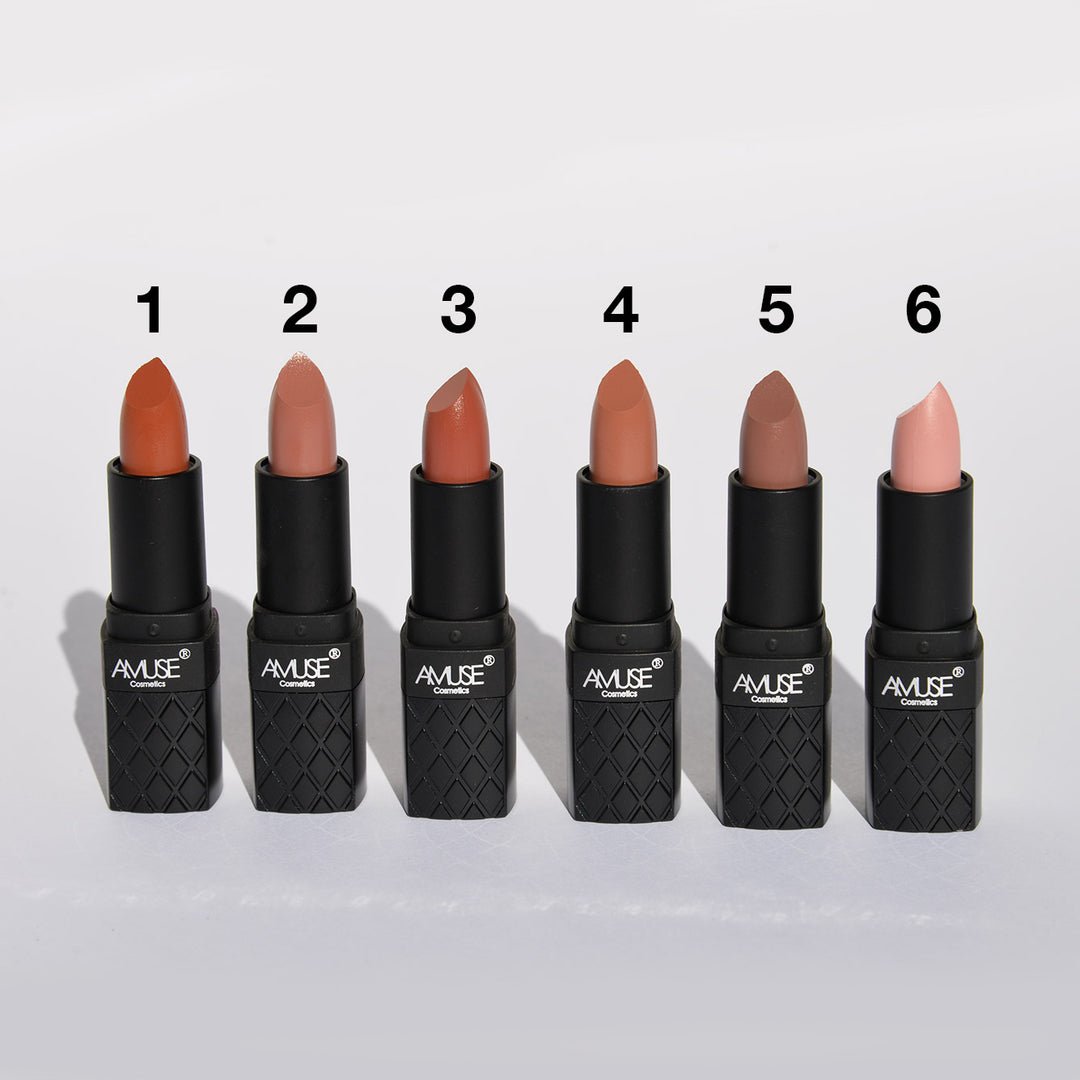 Amuse Long Lasting Matte Nude Lipstick (12 Colors) Everything For $1