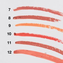 Amuse Long Lasting Matte Nude Lipstick (12 Colors) Everything For $1