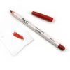 Amuse Vivid Lips Lipliner (Burnt Red) Everything For $1