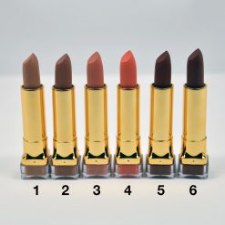 Amuse Gold Case Matte Lipstick (LIP7300) Everything For $1