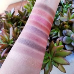 Cosmetics Amuse Professional Artist Eyeshadow Palette